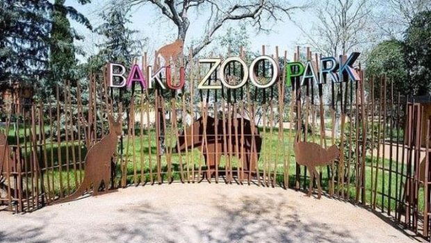 Bakı Zooparkı yeni quruma birləşdirilir