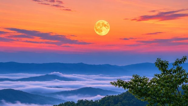 Şahdağda təbiətin harmoniyası... &ndash; FOTO