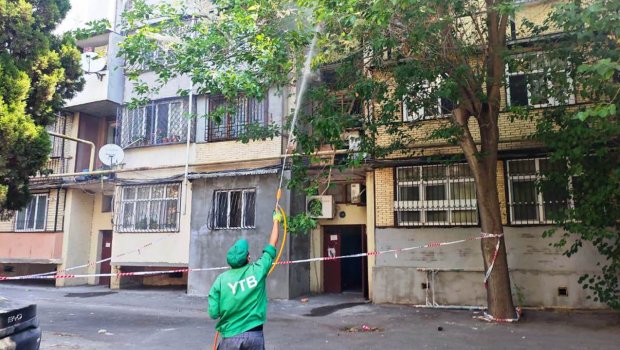Bakıda ağaclarda dərmanlama işləri aparılır &ndash; FOTO