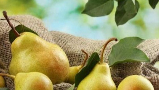 Daha bol məhsul üçün yayda budanmalı olan 7 meyvə ağacı