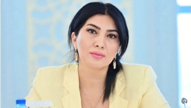 &ldquo;İzləyici sayı peşəkarlığın ölçüsü deyil&rdquo; - Deputat saxta ekspertlərdən danışdı