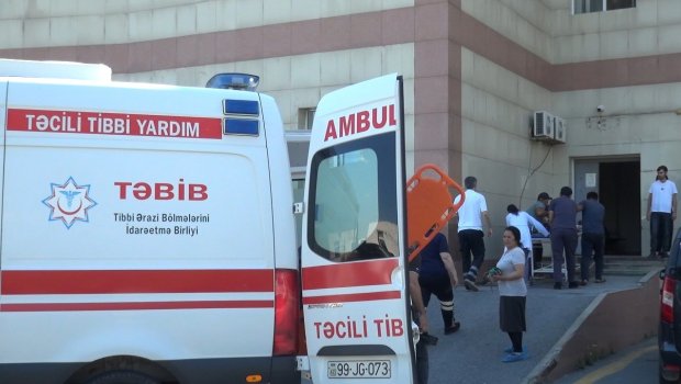 Şəkidə itin 5 nəfəri dişləməsinə İcra Hakimiyyətinin REAKSİYASI - FOTO