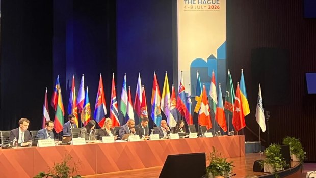ATƏT-in sessiyasında Azərbaycanın Rəqəmsal İnkişaf Şurasının fəaliyyəti barədə məlumat verildi - FOTO