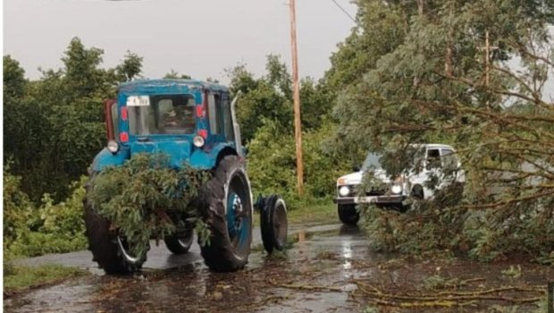 Qaxda qeyri-sabit hava şəraiti: Ağaclar aşdı, işıq kəsildi - FOTO