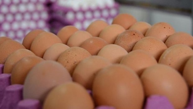 Almaniyada "yumurta böhranı": Marketlər satışa limit qoydu