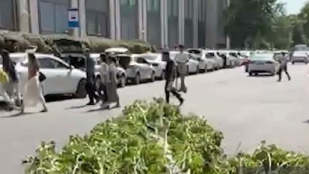 &ldquo;28 Mall&rdquo;ın yaxınlığında ağac aşdı &ndash; VİDEO