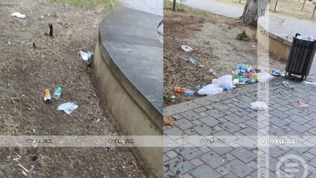 Bakının məşhur parkı baxımsız qalıb - FOTO