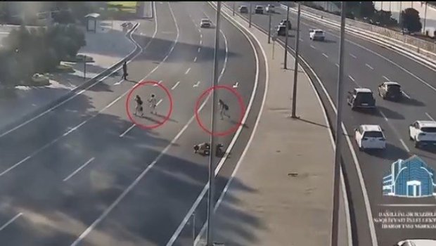 Bakıda piyadalar qəzaya səbəb oldu: Motosiklet sürücüsü xəsarət aldı - ANBAAN VİDEO