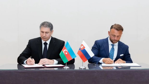 Azərbaycan və Slovakiya kibercinayətkarlığa qarşı güclərini birləşdirir - FOTO