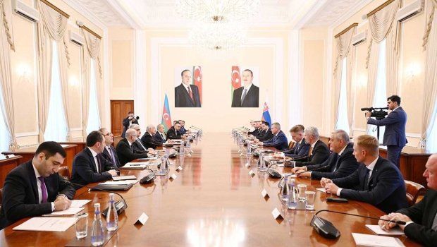 Əli Əsədovla Slovakiya Prezidenti arasında GÖRÜŞ: Nələr müzakirə edildi? &ndash; FOTO