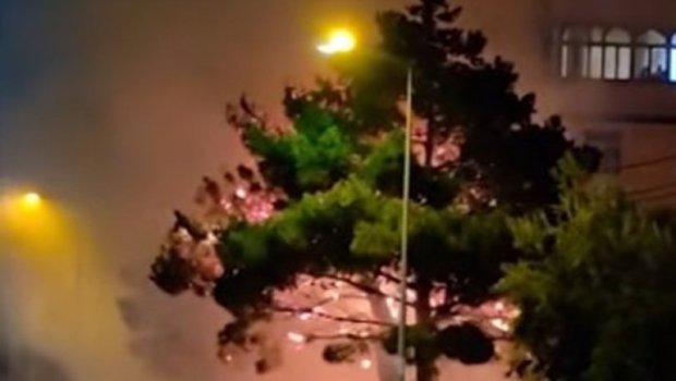 Bakıda bir qığılcımla ağacı alov bürüyüb - Video