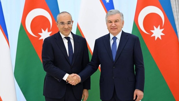 Mikayıl Cabbarov Şavkat Mirziyoyevin qəbulunda - FOTO