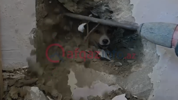 Sakinlər onun xilası üçün nazirliyə zəng etdilər&ndash; Video