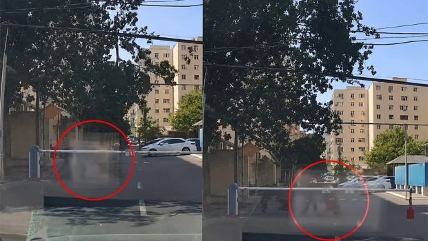 Bakıda sınan ağac budağı qadının üzərinə düşdü - ANBAAN VİDEO