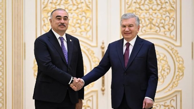 Rəşad Məmmədov etimadnaməsini Şavkat Mirziyoyevə təqdim etdi &ndash; FOTO