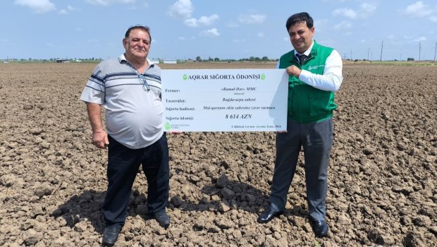 Azərbaycanda İLK DƏFƏ - Fermer 8614 manat sığorta aldı - FOTO