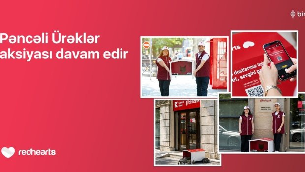 &ldquo;Pəncəli Ürəklər&rdquo; aksiyası çərçivəsində sahibsiz heyvanlar üçün yuvaların sayı 35-ə çatdı