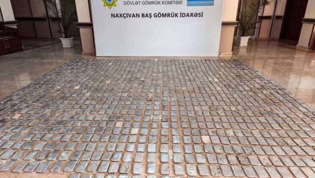 İrandan Almaniyaya yük aparan nəqliyyat vasitəsi Naxçıvanda YOXLAMAYA cəlb olundu &ndash; SƏBƏB/FOTO