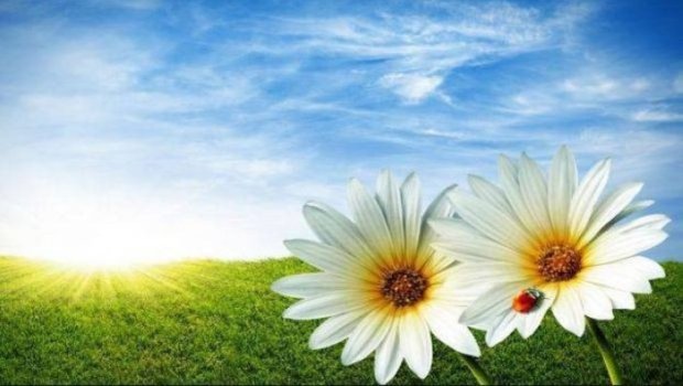 Sabah 39 dərəcə isti olacaq &ndash; PROQNOZ