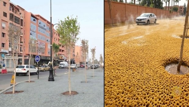 Bu yollara asfalt əvəzinə süngər döşənir