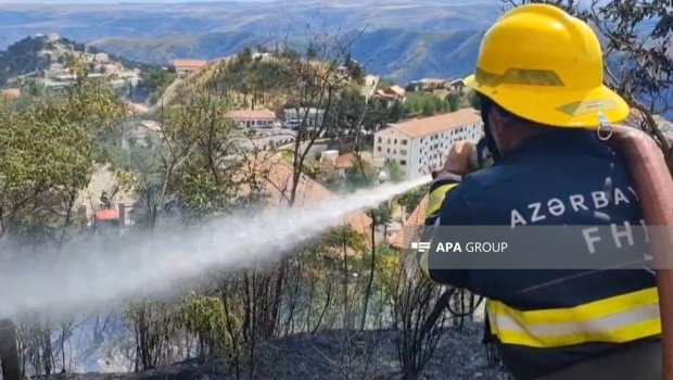 Laçında yanğın: Alov yaşayış evlərinə çatmadan söndürüldü - FOTO