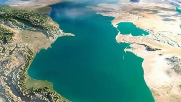 Xəzər dənizindəunikal TAPINTI: suyu təbii təmizləyir - FOTO