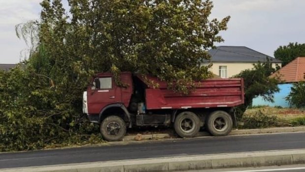 Gəncə-Kəlbəcər yolunda yük avtomobili ağaca çırpıldı - FOTO