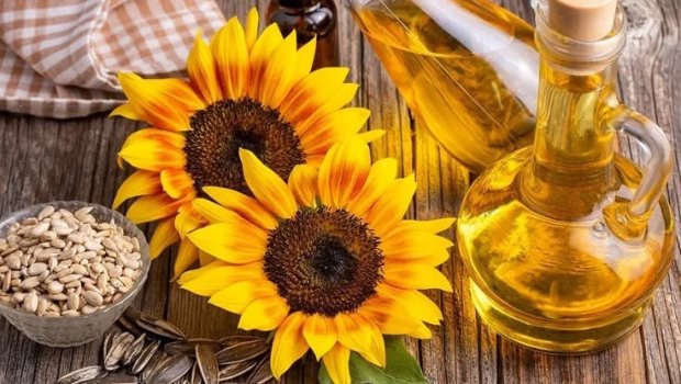 Zərəri vitaminindən çoxdur &ndash; Soyuq sıxım günəbaxan yağlarındakı GİZLİ TƏHLÜKƏ