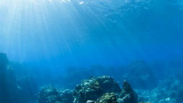 Dünya okeanları rekord səviyyədə isindi: Planeti nə gözləyir?