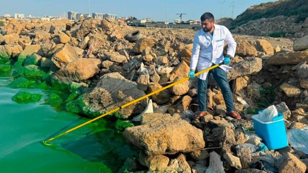 Böyükşor gölünün yaşıla bürünməsinin SƏBƏBİ AÇIQLANDI