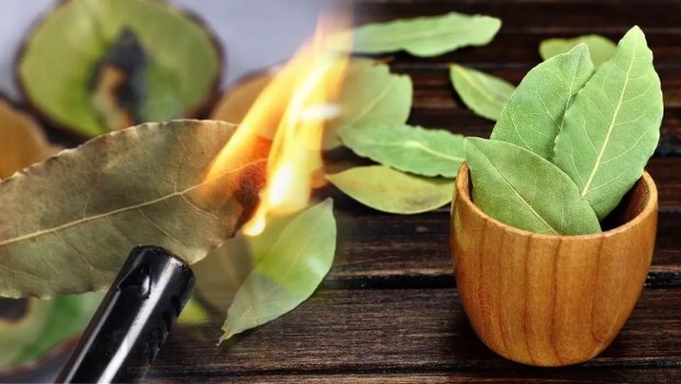 Hər axşam dəfnə yarpağını yandıranda nə baş verir?