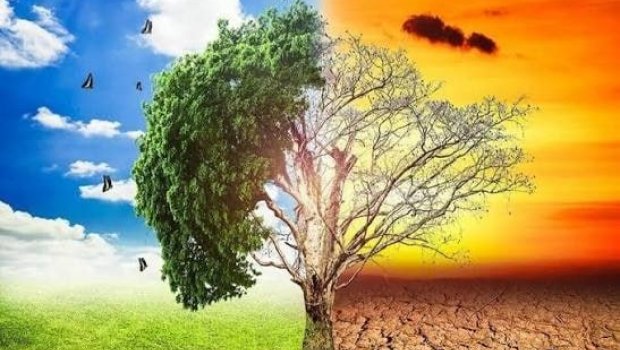 2027 iqlim kabusu ili olacaq? &ndash; Dünyanı rekord isti, güclü qasırğalar və ərzaq böhranı gözləyir