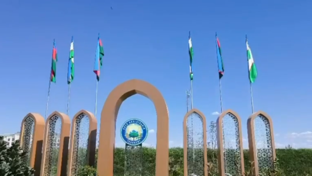 Daşkənd hava limanında İlham Əliyevin qarşılanması üçün hazırlıq işləri görülür &ndash; VİDEO