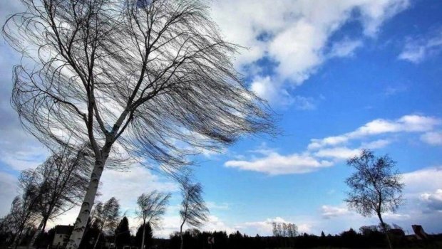 Küləkli hava ilə bağlı XƏBƏRDARLIQ