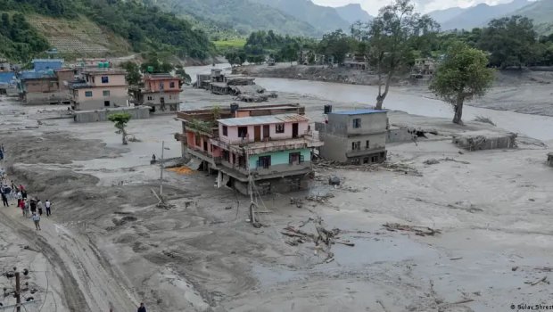 Nepalda daşqınların dağıtdığı ərazini tərk etməyən sadiq it hər kəsi kövrəltdi - FOTO
