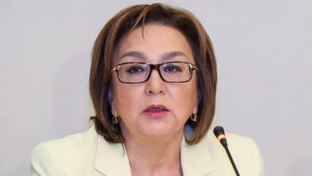 Məleykə Abbaszadə magistraturada yerlərin boş qalma səbəbini AÇIQLADI