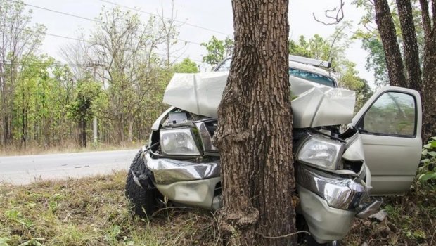 Qazaxda avtomobil ağaca çırpıldı: İki qardaş xəsarət aldı