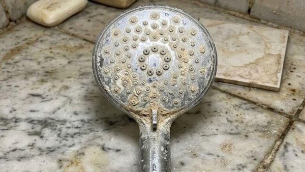Sirkə və sodanı unudun: Duş başlığını təzə kimi edir