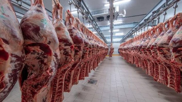 Dünyada mal əti istehsalı azalacaq &ndash; PROQNOZ