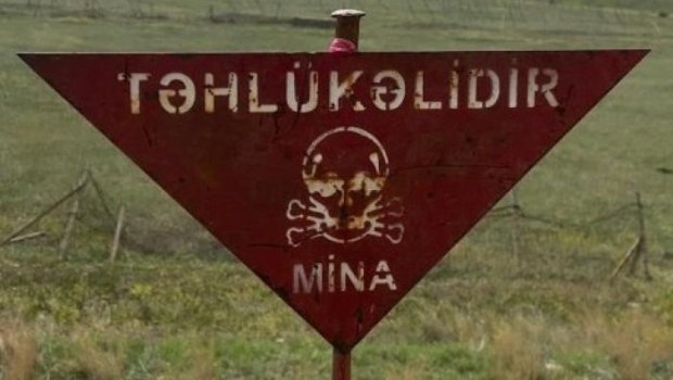 Vətən müharibəsindən sonra 438 nəfər mina qurbanı olub - Vüqar Süleymanov