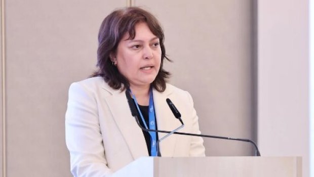 Umayra Tağıyeva: Azərbaycan iqlim riskləri ilə üzləşir