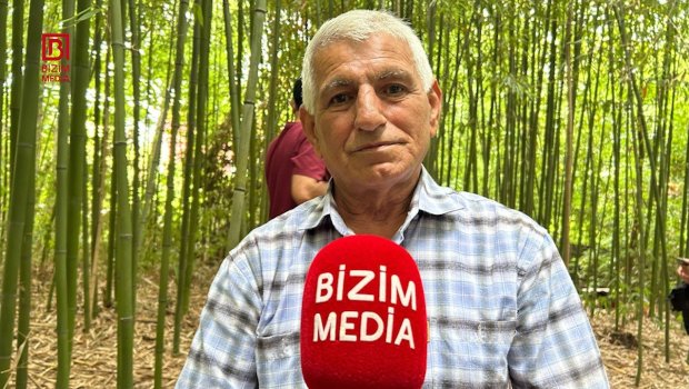 50 günə yetişdirdiyi ağacları biznesə çevirdi &ndash; Lənkəranlı fermerin bambuk &ldquo;meşəsi&rdquo; &ndash; FOTO