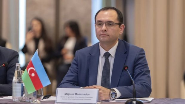 Məcnun Məmmədov şöbə müdiri təyin etdi - FOTO
