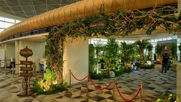 Bakı aeroportunda sərnişinlər üçün maraqlı əyləncə ZONASI &ndash; &ldquo;Tilsimli meşə&rdquo; - FOTO
