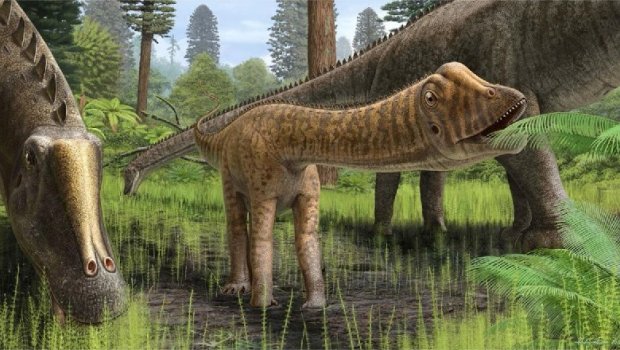 Elm aləmində sensasiya: İspaniyada ilk dəfə tam qorunub saxlanılmış dinozavr tapıldı