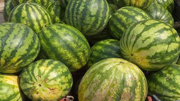 Aldığı qarpızlar xarab çıxdı, satıcını döydü