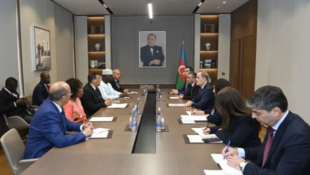 Ceyhun Bayramov Pan-Afrika Parlamentinin prezidenti ilə görüşdü - FOTO