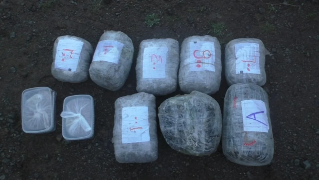 Polis 40 kiloqramdan çox narkotik vasitə aşkarladı
