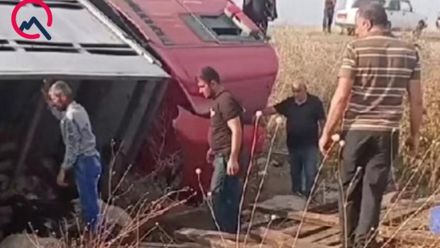 Sürücü yuxulayıb maşını aşırdı - Heyvanlar tələf oldu