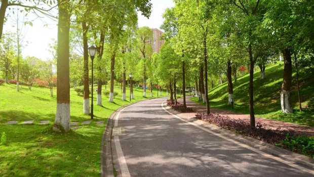 Bakıda yeni park salınır - 35 MİLYON MANAT AYRILDI